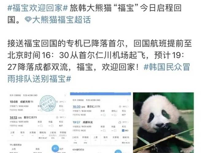 福宝是被三星养的吗福宝在韩国的人气福宝飞机起飞时间