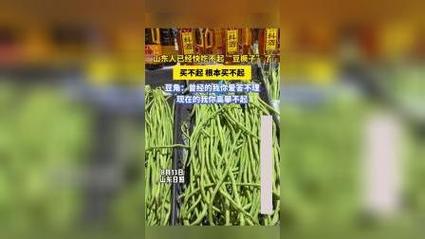 豆橛子是豇豆吗山东人吃不起豆橛子的原因豆橛子是山东话吗