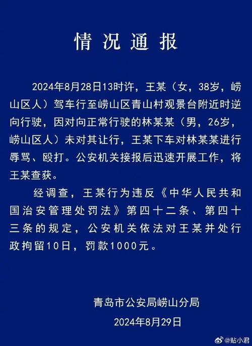 河北一女司机掌掴外卖小哥，你怎么看逆行打人女子被拘留了逆行打人女子被拘