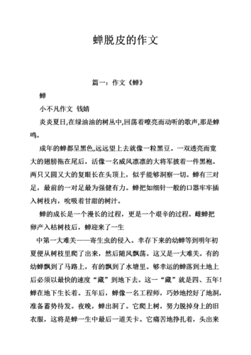 为什么不能把脱皮的蝉直接拿出来列车脱线属于什么事故如何评价电影《利刃出鞘》