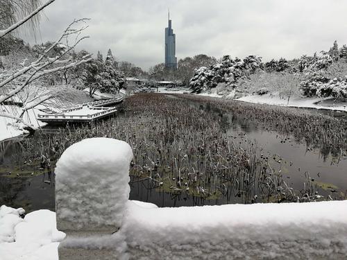 说说你对雪的记忆是怎样的，你们那个年代的冬天冷到什么程度玄武湖惊现野猪横渡事件玄武湖惊现野猪横渡